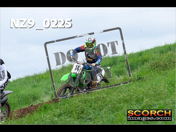 IntersGreen-175