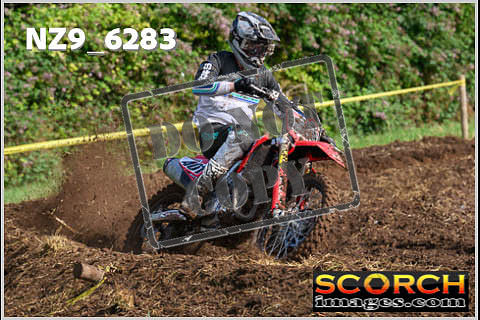 Experts-098