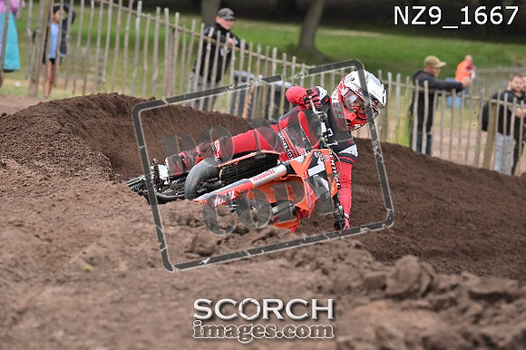 NZ9_1667