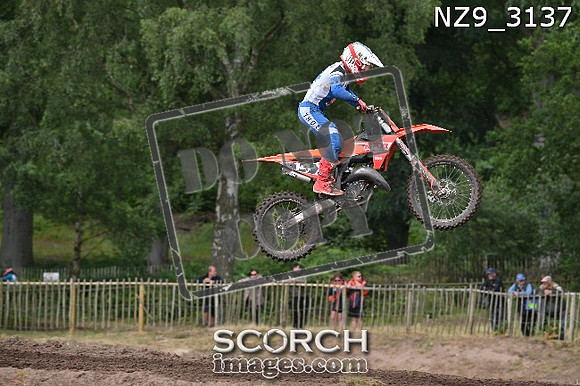 NZ9_3137