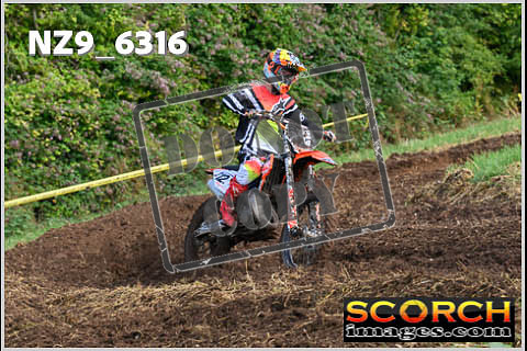 Experts-130