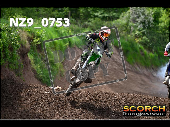 IntersGreen-285