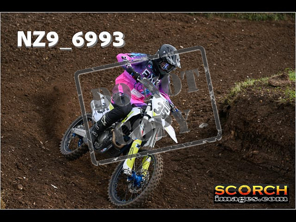 Experts-067