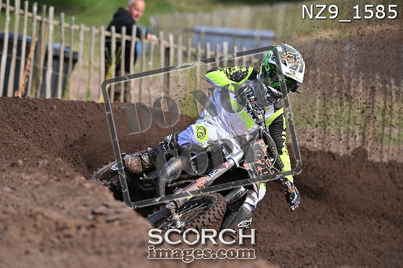 NZ9_1585