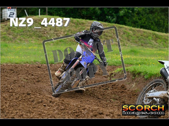 Experts-204