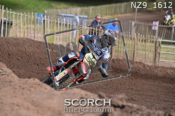 NZ9_1612