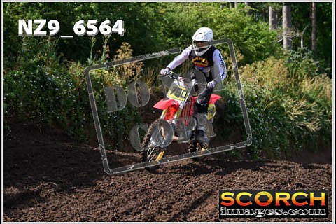 Inters Green Orange-096