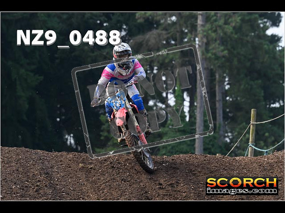 Experts-077
