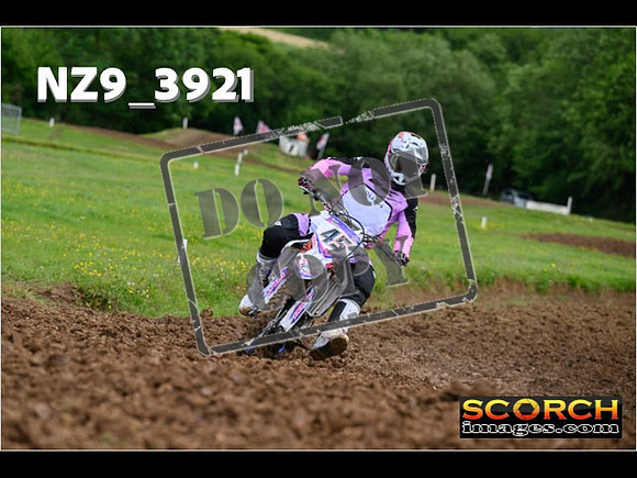 Experts-031