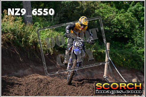 Inters Green Orange-083