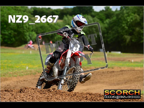 Novice-256