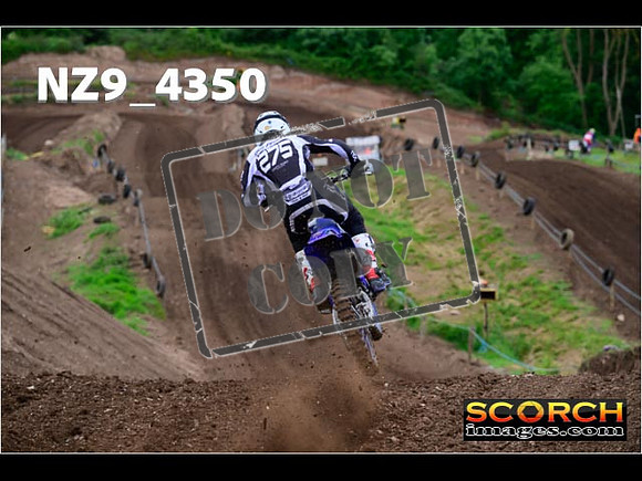 Experts-024
