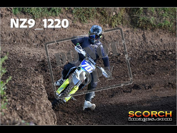 IntersGreen-021