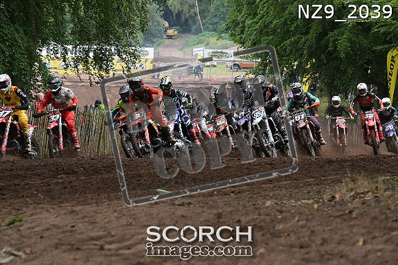 NZ9_2039