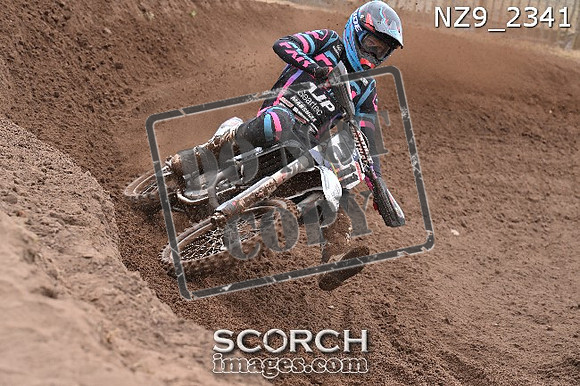 NZ9_2341