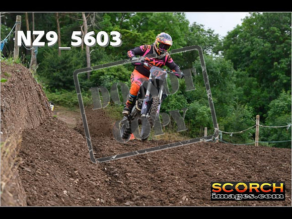 Experts-009