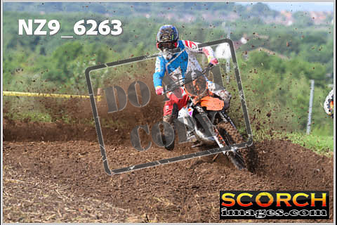 Experts-082