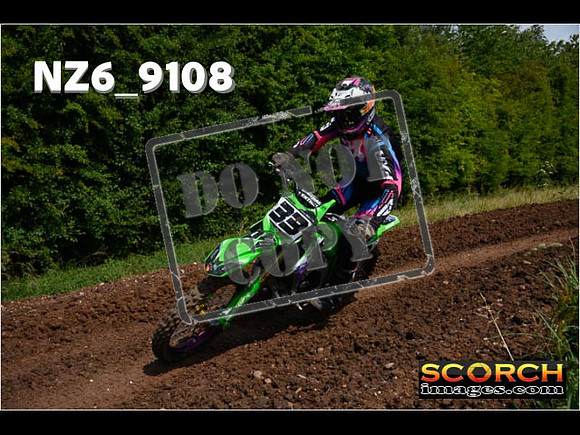 Experts-172