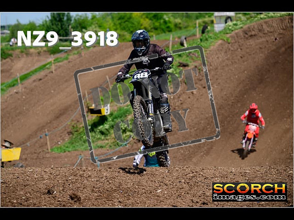 InterGreen-202