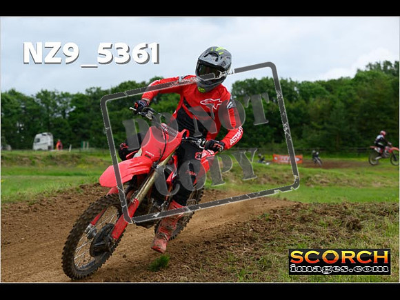 Experts-296