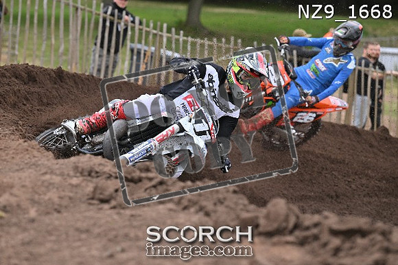 NZ9_1668