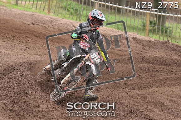 NZ9_2775