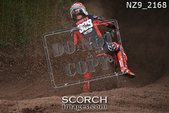 NZ9_2168