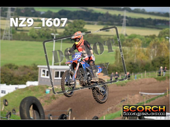 Experts-289