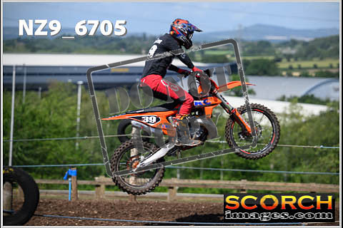 Experts-151