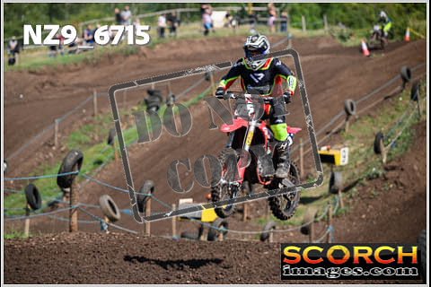 Experts-161