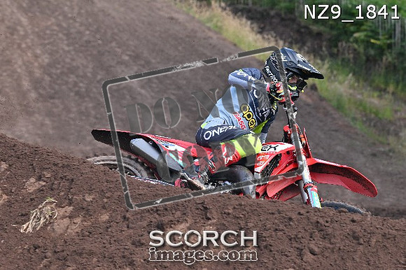NZ9_1841
