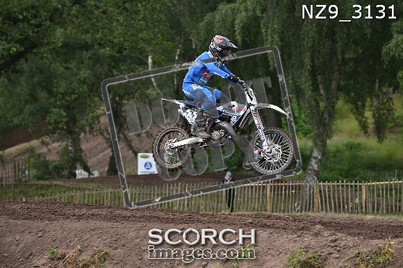 NZ9_3131