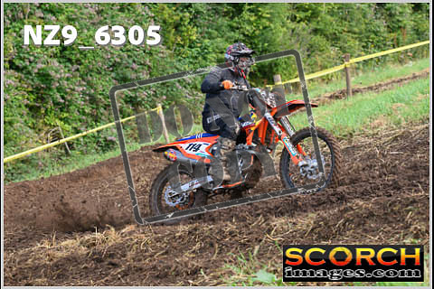 Experts-119