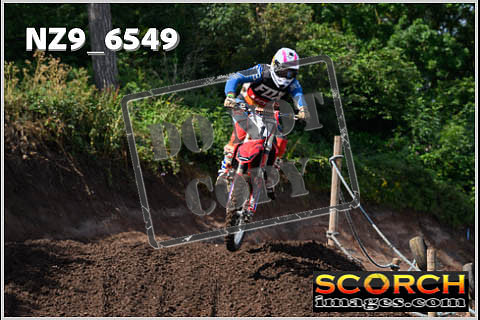 Inters Green Orange-082