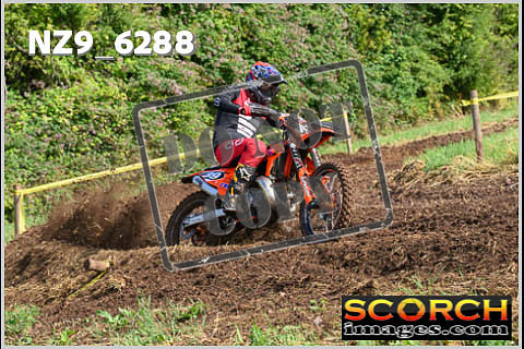 Experts-102