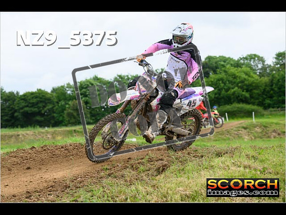Experts-310