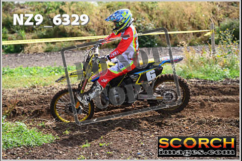 Experts-137