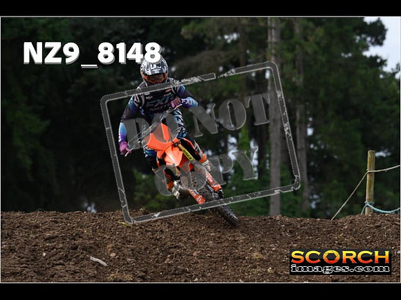 Experts-087