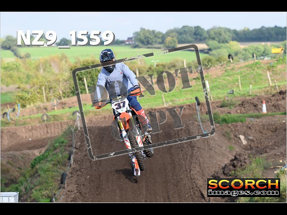 Experts-242