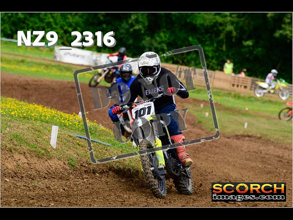 Novice-163