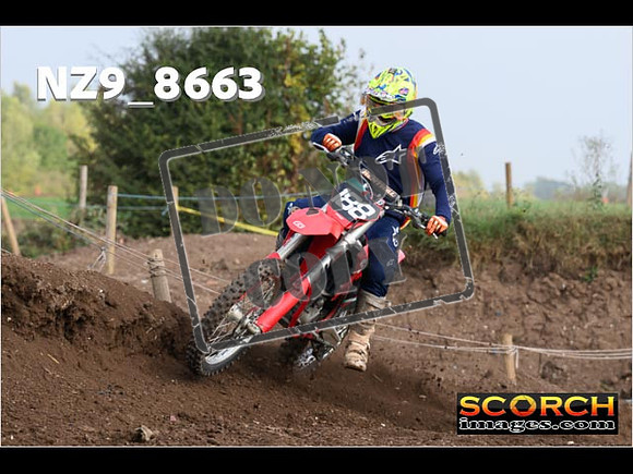 Experts-069