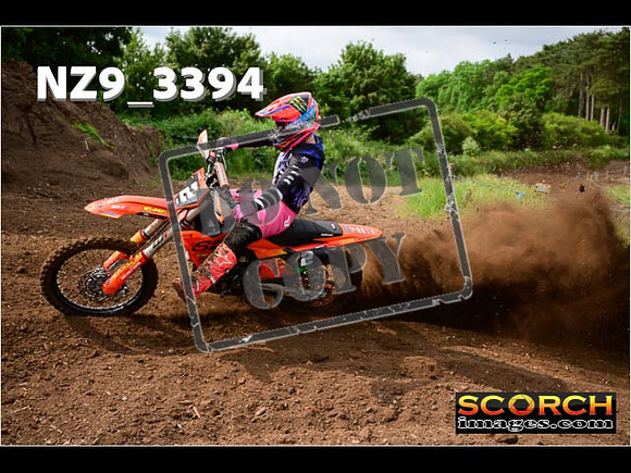 Experts-028