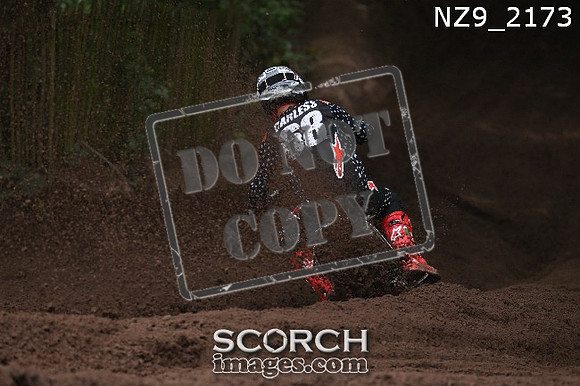 NZ9_2173