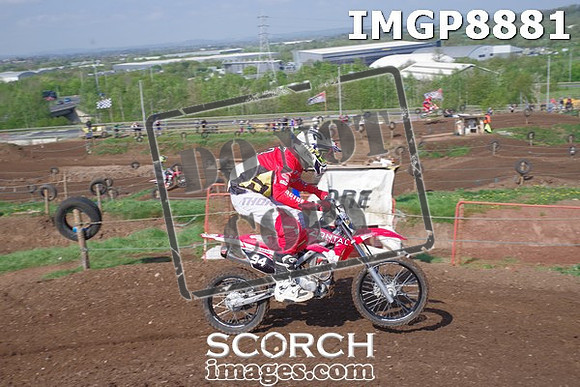 IMGP8881