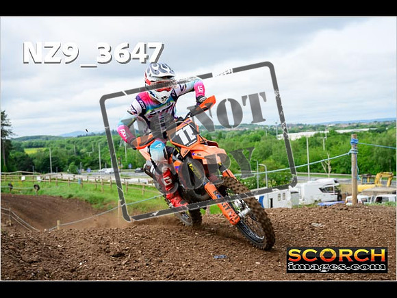 Experts-096