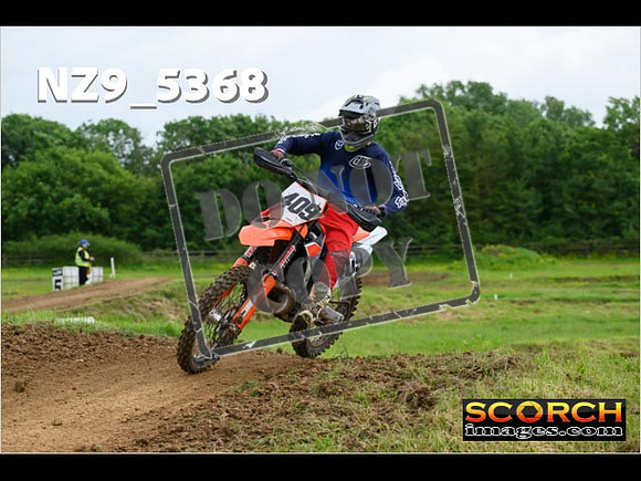 Experts-303