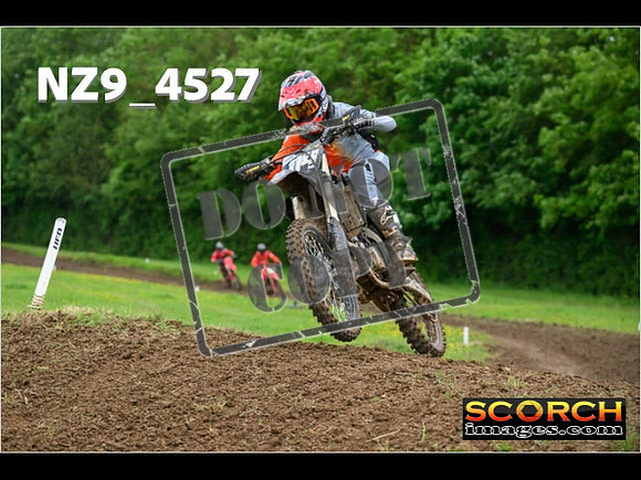 Experts-244