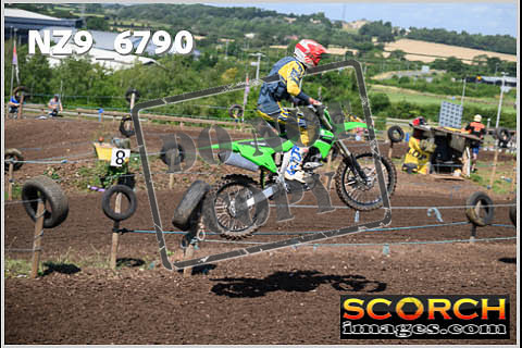 Experts-230