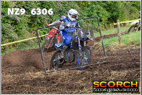 Experts-120