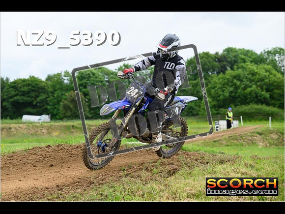 Experts-325